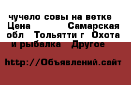 чучело совы на ветке › Цена ­ 5 000 - Самарская обл., Тольятти г. Охота и рыбалка » Другое   